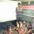 WhatsApp Image 2025-09-24 at 8.58.07 PM (1)
